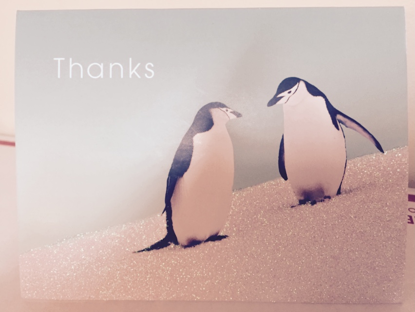 Thank You Card